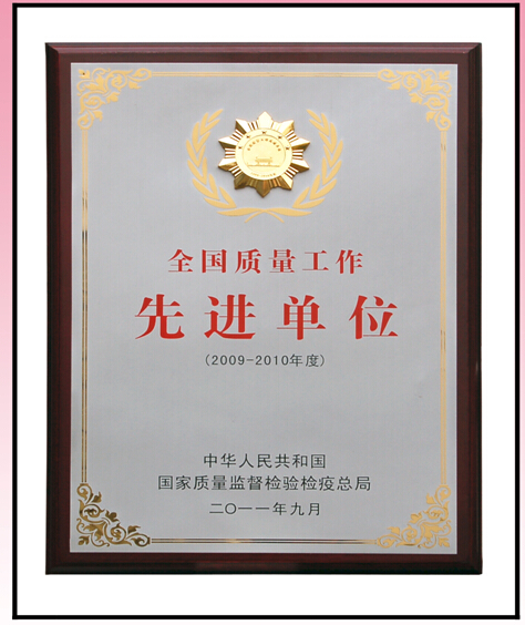 雷速在线注册-雷速（中国）集团先进单位奖牌