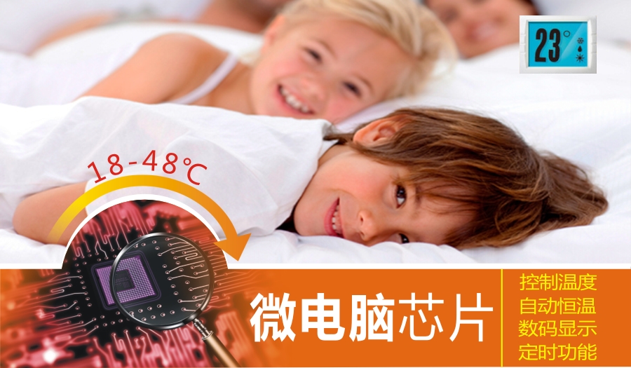 雷速在线注册-雷速（中国）集团微电脑控制技术