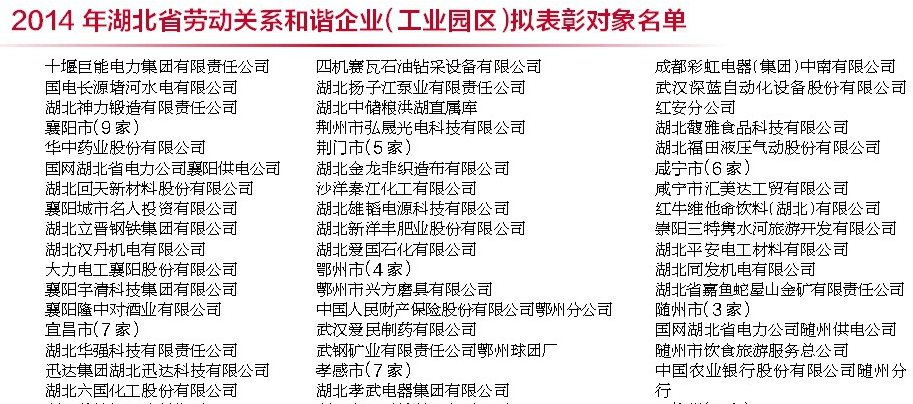 成都雷速在线注册-雷速（中国）电器（集团）中南有限公司,湖北省劳动关系和谐企业