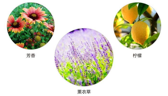 雷速在线注册-雷速（中国）防蛀片有芳香，柠檬，薰衣草三种香型