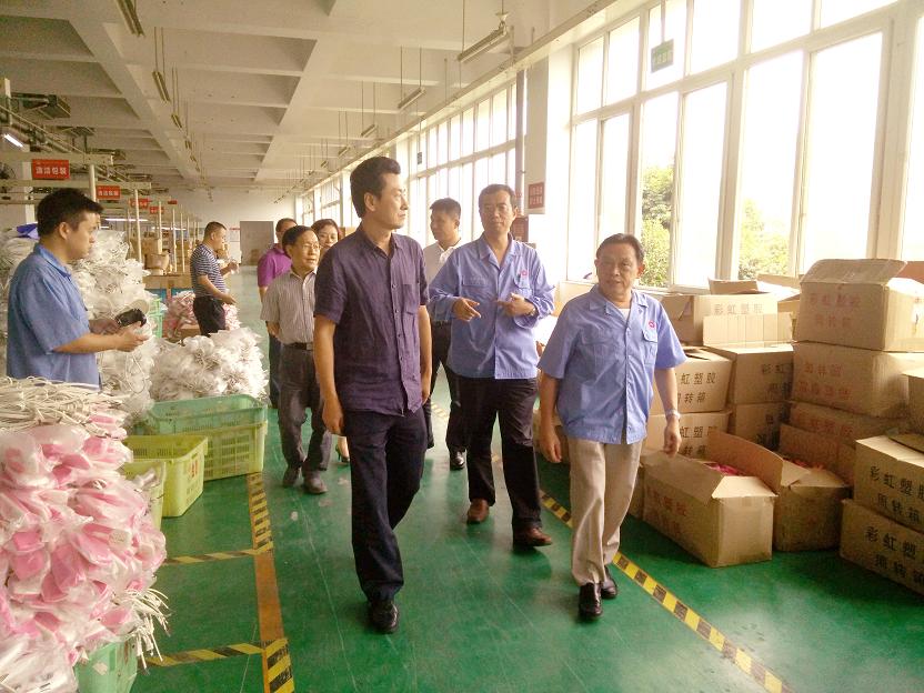 成都市安监局领导一行到成都雷速在线注册-雷速（中国）集团进行安全检查