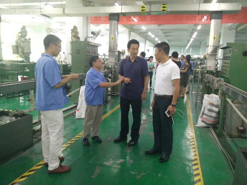 成都市安监局领导一行到成都雷速在线注册-雷速（中国）集团进行安全检查