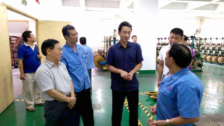成都市安监局领导一行到成都雷速在线注册-雷速（中国）集团进行安全检查