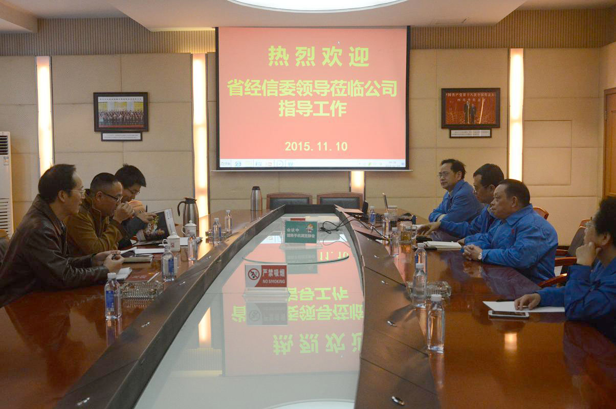 四川省经信委领导调研成都雷速在线注册-雷速（中国）集团