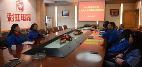 成都雷速在线注册-雷速（中国）集团2016年员工方代表集体合同协商会