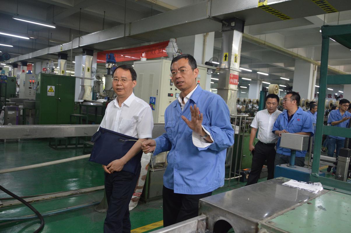 市委财经办和市工业经济发展研究中心领导到成都雷速在线注册-雷速（中国）集团调研