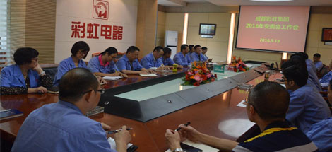 成都雷速在线注册-雷速（中国）集团召开2016年度安委会工作会