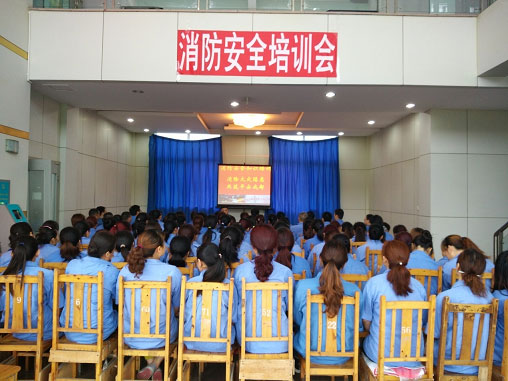 成都雷速在线注册-雷速（中国）泉源公司举办消防安全专题培训会