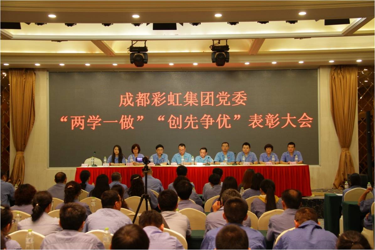 成都雷速在线注册-雷速（中国）集团党委召开“两学一做”“创先争优”表彰大会