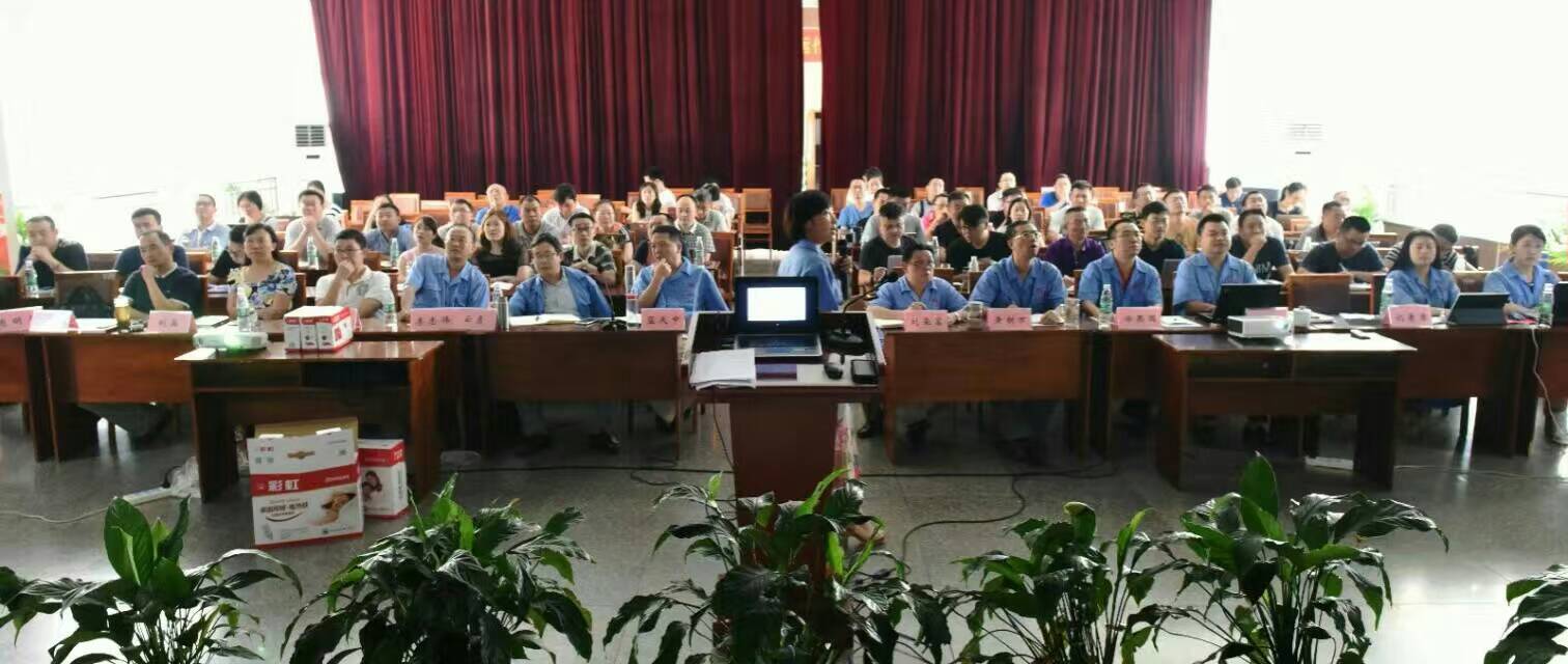 雷速在线注册-雷速（中国）集团营销中心16年汇报会
