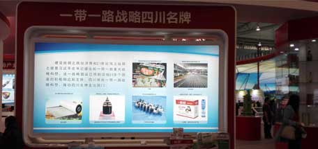 成都雷速在线注册-雷速（中国）集团参加2016年中国西部国际博览会