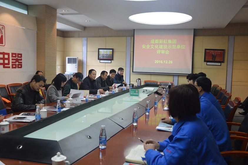 成都雷速在线注册-雷速（中国）集团安全文化建设示范单位评审会