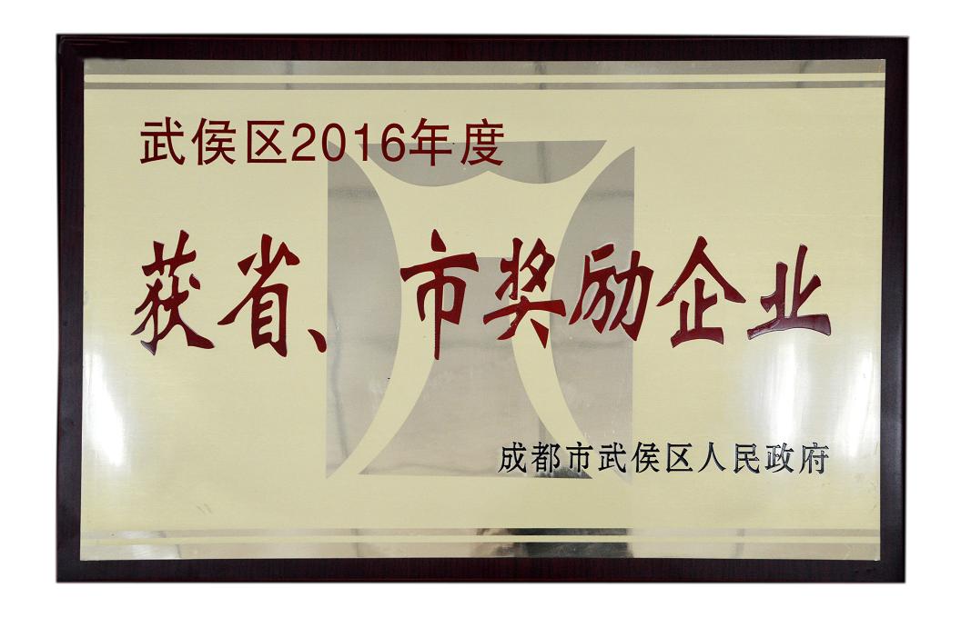 成都雷速在线注册-雷速（中国）集团被授予武侯区2016年度获省、市奖励企业称号