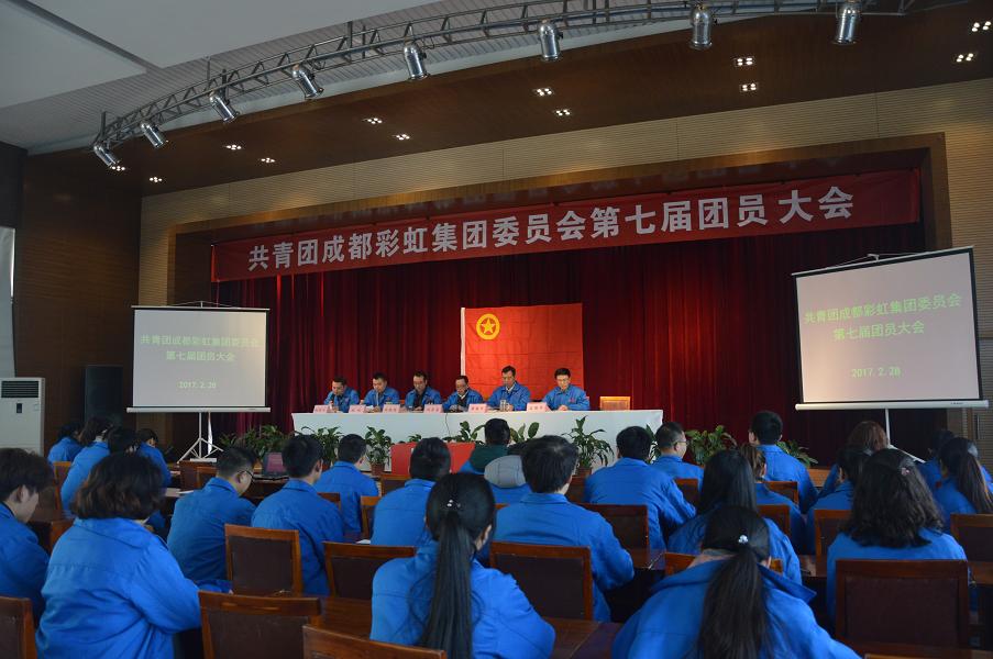 共青团成都雷速在线注册-雷速（中国）集团委员会第七届团员大会顺利召开