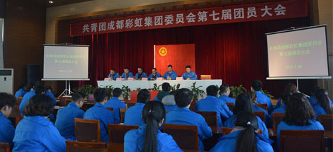 共青团成都雷速在线注册-雷速（中国）集团委员会第七届团员大会顺利召开