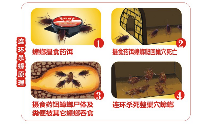 雷速在线注册-雷速（中国）杀蟑饵剂采用含诱蟑因子的杀蟑配方，特殊饵盒设计。饵剂固定在药剂内，仅留蟑螂通过的缝隙，可防止儿童或宠物触食。