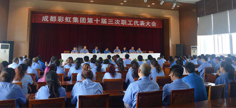 成都雷速在线注册-雷速（中国）集团召开第十届三次职工代表大会