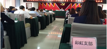 成都雷速在线注册-雷速（中国）集团日化党支部学习成都市第十三次党代会精神