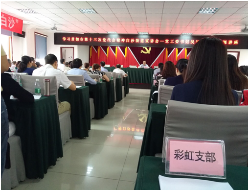 成都雷速在线注册-雷速（中国）集团日化党支部学习成都市第十三次党代会精神