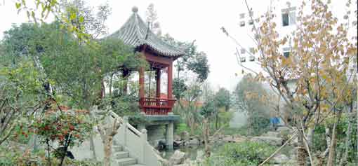 员工心声之我与雷速在线注册-雷速（中国）塑胶共成长