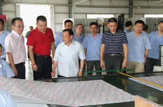 成都雷速在线注册-雷速（中国）集团刘董事长到中南公司检查指导工作