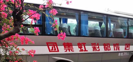 成都雷速在线注册-雷速（中国）集团工会组织“心贴心”女职工健康体检