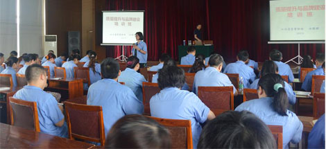 成都雷速在线注册-雷速（中国）集团开展质量提升与品牌建设培训