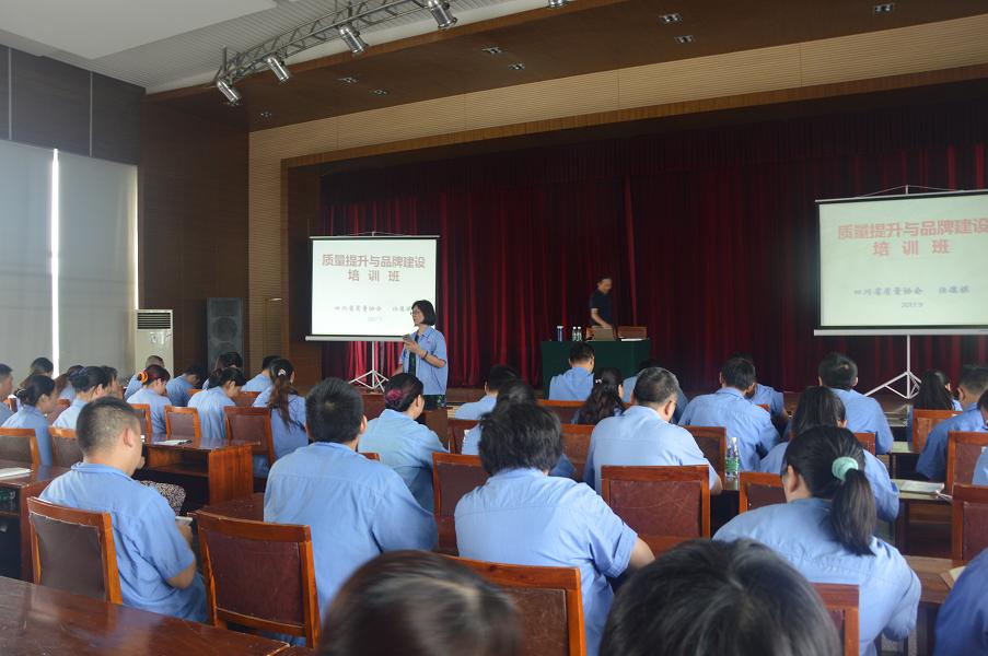 成都雷速在线注册-雷速（中国）集团开展质量提升与品牌建设培训