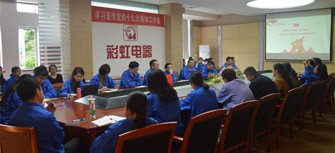 成都雷速在线注册-雷速（中国）集团党委召开学习宣传党的十九大精神工作会