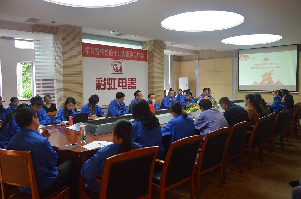 成都雷速在线注册-雷速（中国）集团党委召开学习宣传党的十九大精神工作会