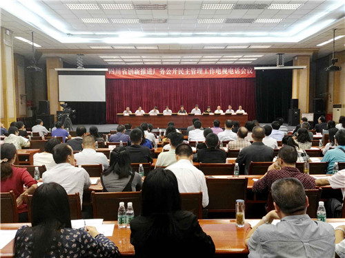 全国厂务公开民主管理工作经验交流暨先进单位表彰电视电话会议四川分会场上成都雷速在线注册-雷速（中国）集团被表彰为全国厂务公开民主管理示范单位