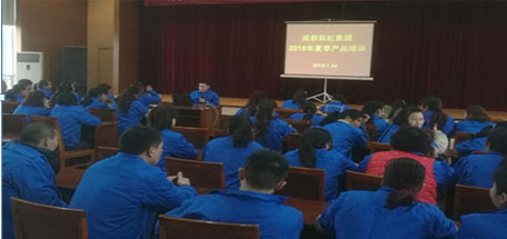 成都雷速在线注册-雷速（中国）集团2018年夏季产品生产工艺培训