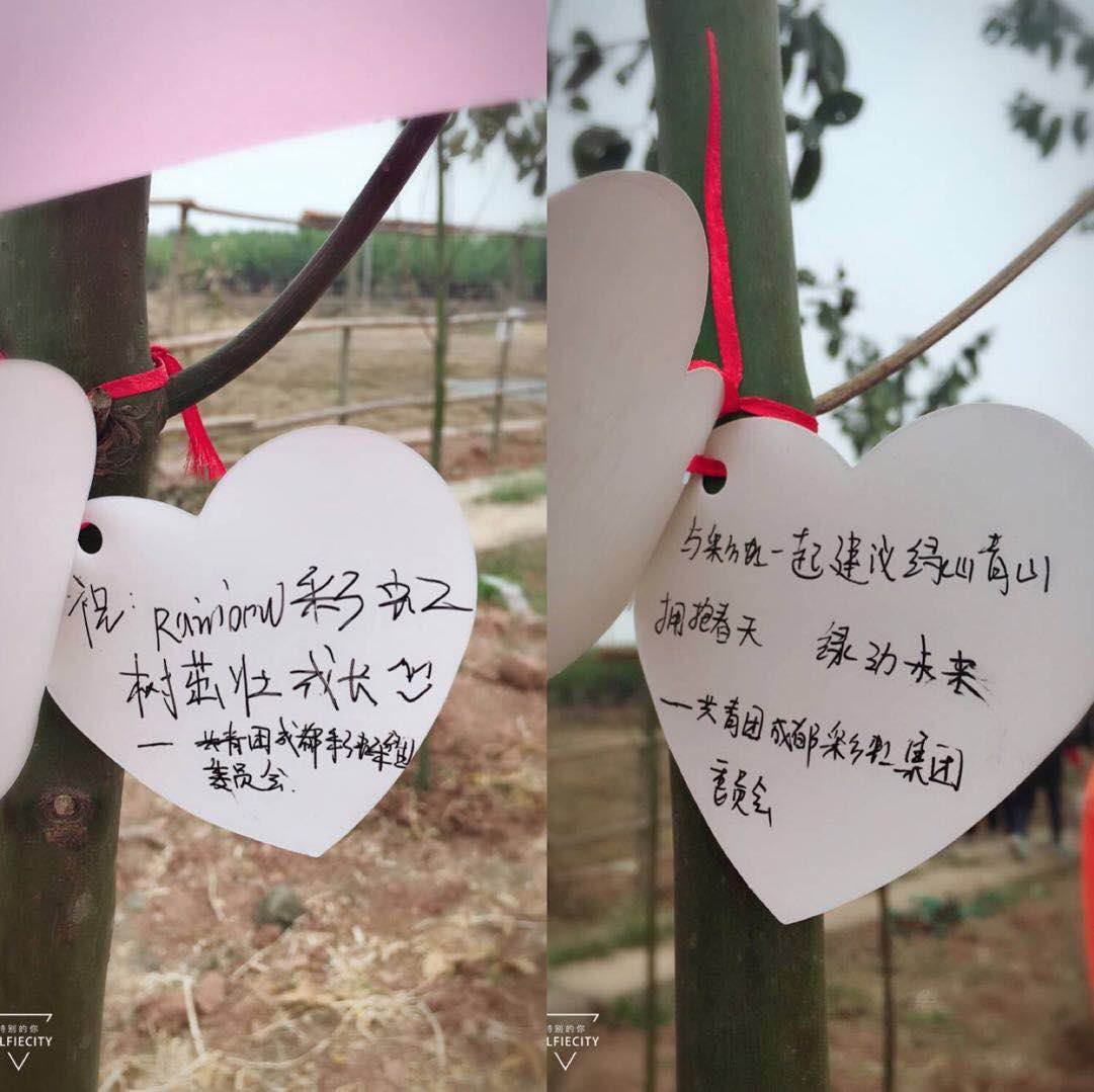 共青团成都雷速在线注册-雷速（中国）集团团委及团员青年代表参加高新区植树节志愿服务活动