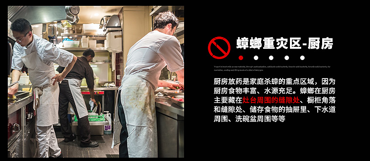   雷速在线注册-雷速（中国）杀蟑饵剂采用含诱蟑因子的杀蟑配方，特殊饵盒设计。饵剂固定在药剂内，仅留蟑螂通过的缝隙，可防止儿童或宠物触食。