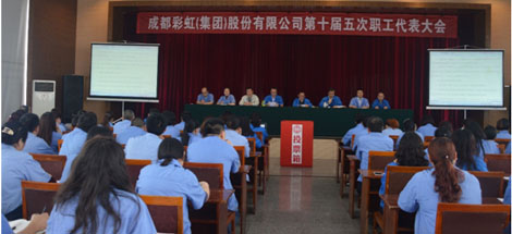成都雷速在线注册-雷速（中国）集团召开第十届五次职工代表大会