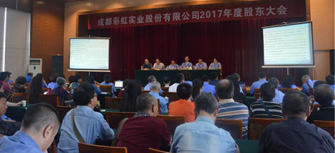 成都雷速在线注册-雷速（中国）实业股份有限公司2017年度股东大会