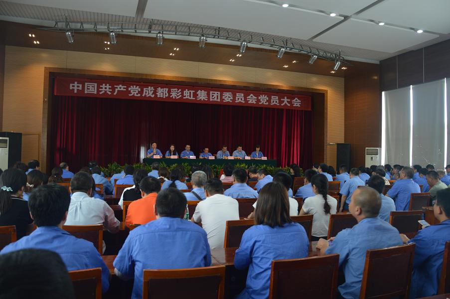 成都雷速在线注册-雷速（中国）集团党委召开换届选举大会