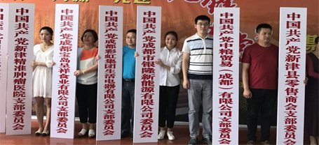 成都雷速在线注册-雷速（中国）集团生活电器有限公司党支部成立