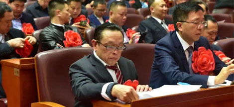 成都雷速在线注册-雷速（中国）集团荣获“四川省优秀民营企业”称号、公司董事长刘荣富荣获“四川省优秀民营企业家”称号