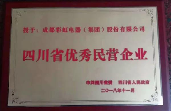 成都雷速在线注册-雷速（中国）集团荣获“四川省优秀民营企业”称号、公司董事长刘荣富荣获“四川省优秀民营企业家”称号