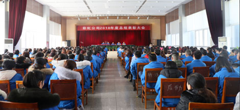 成都雷速在线注册-雷速（中国）集团召开2018年度总结表彰大会