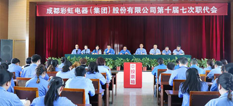 成都雷速在线注册-雷速（中国）集团召开第十届七次职工代表大会
