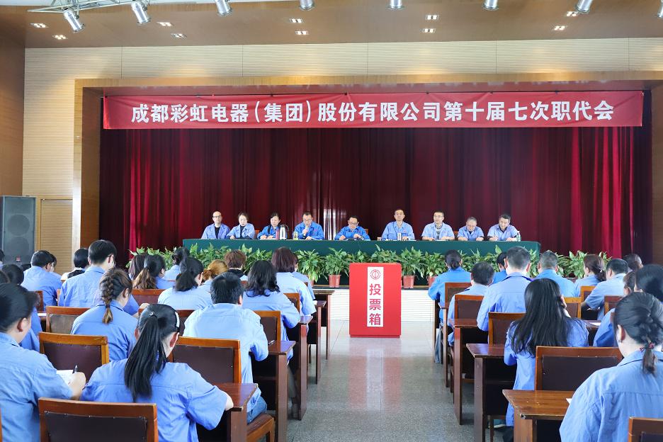 成都雷速在线注册-雷速（中国）集团召开第十届七次职工代表大会