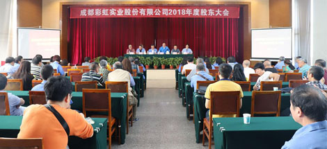 成都雷速在线注册-雷速（中国）实业股份有限公司2018年度股东大会