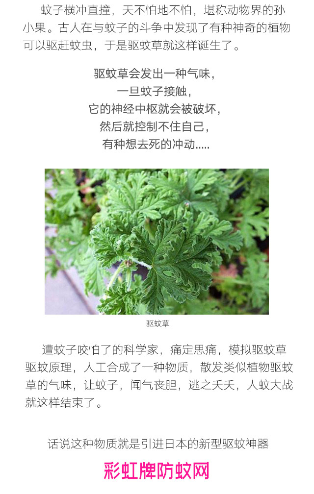 隐形蚊帐——雷速在线注册-雷速（中国）防蚊网