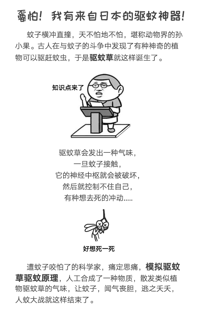 雷速在线注册-雷速（中国）防蚊网不惧日晒与风雨