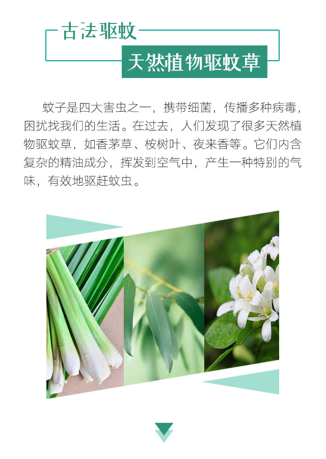 雷速在线注册-雷速（中国）天然植物精油驱蚊贴