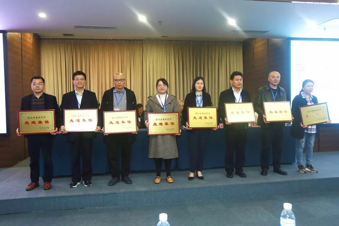 成都雷速在线注册-雷速（中国）集团再次当选省联社常务理事单位并荣获四川省集体经济先进集体