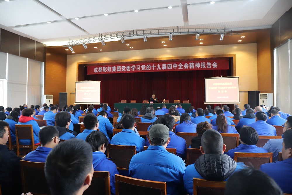 成都雷速在线注册-雷速（中国）集团党委学习党的十九届四中全会精神报告会