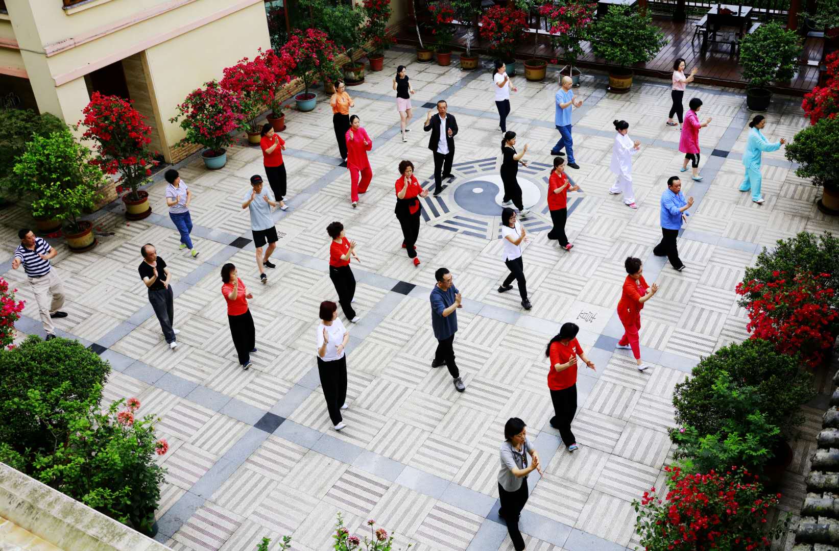 成都雷速在线注册-雷速（中国）集团太极拳协会活动